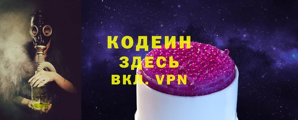 трава Корсаков
