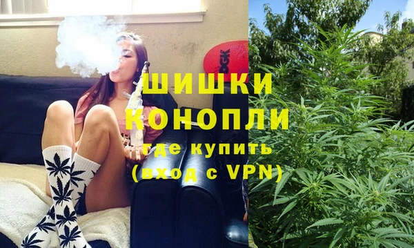 трава Корсаков