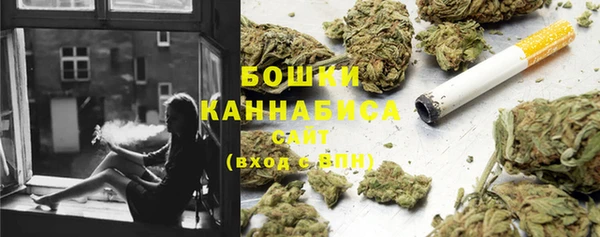 дмт Костерёво