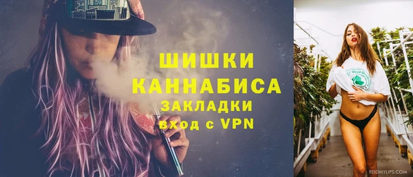 трава Корсаков