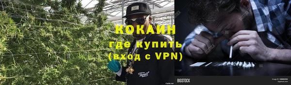 тгк Коряжма