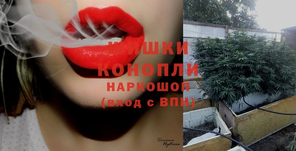 трава Корсаков