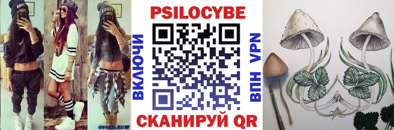 Купить где  Тогучин  Галлюциногенные грибы мухоморы 